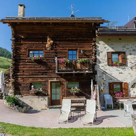 Apartmán Mistral *
